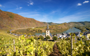 Bild Grußkarte - Mosel - Moselschleife Bei Bremm oder mit Eigenem F...