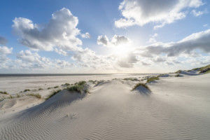 Wunschbild auf Grußkarte - Dünenlandschaft Im Sonnenlicht oder mit ...