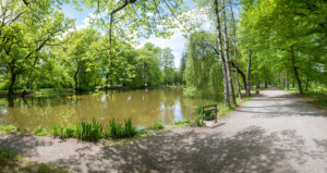 Motiv als Grußkarte - Frühling Im Kurpark Bad Aibling Ii oder mit E...