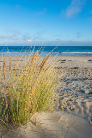 Foto Grußkarte - Sandstrand Bei Glowe Auf Der Insel Rügen oder mit ...