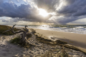 Wunschbild als Grußkarte - Darßer Weststrand An Der Ostseeküste ode...