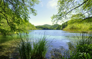 Wunschbild als Kissen - Schöner Ausblick oder mit Eigenem Foto