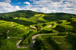 Wunschmotiv auf Kissen - Kaiserstuhl Frühlings Idylle oder mit Eige...