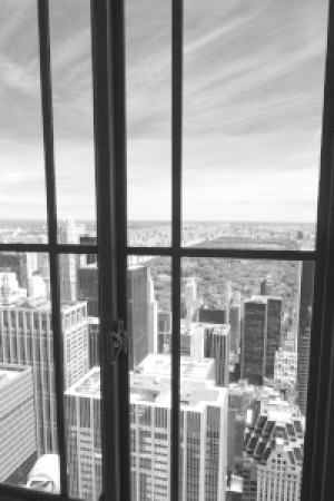 Motiv Kissen - Fensterblick Auf Den Central Park oder mit Eigenem Foto
