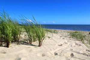 Foto Kissen - Nordseegarten oder mit Eigenem Foto