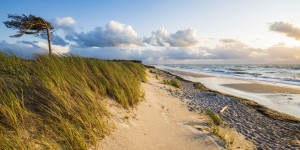 Motiv als Kissen - Darßer Weststrand An Der Ostsee oder mit Eigenem...