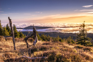 Wunschmotiv Kissen - Blick Zum Wurmberg Im Harz oder mit Eigenem Foto