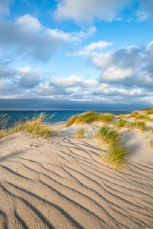 Bild auf Kissen - Dünen Mit Dünengras oder mit Eigenem Foto