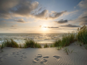 Wunschbild Kissen - Urlaub Am Dünenstrand oder mit Eigenem Foto