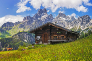 Motiv auf Kissen - Almsommer oder mit Eigenem Foto