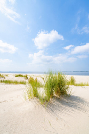 Wunschmotiv auf Kissen - Sonniges Wetter Am Dünenstrand oder mit Ei...