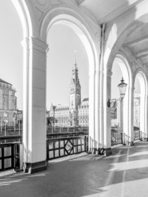 Wunschmotiv Kissen - Alsterarkaden Und Rathaus In Hamburg - Monochr...