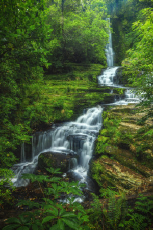 Wunschmotiv als Kissen - Neuseeland Mclean Wasserfall In Den Catlin...