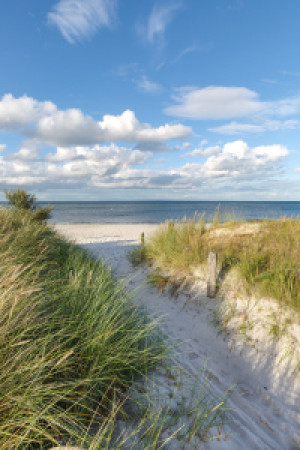 Wunschmotiv als Kissen - Dünenweg Zur Ostsee oder mit Eigenem Foto