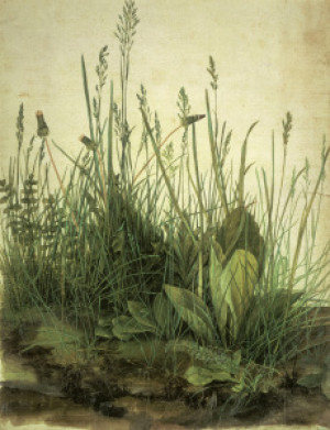 Kissen - A Dürer Das Große Rasenstück 1503 oder mit Eigenem Foto