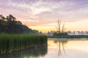 Fotos Kissen - Stimmungsvoller Morgen In Der Oberlausitz oder mit E...