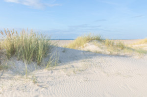 Wunschmotiv auf Kissen - Weiße Nordseedünen oder mit Eigenem Foto