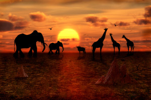 Fotos Label - In Afrika Geht Die Sonne Unter oder mit Eigenem Foto