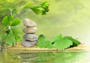 Bild auf Label - Ginkgo oder mit Eigenem Foto