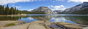 Bild Label - Tenaya Lake California oder mit Eigenem Foto