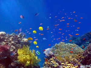 Wunschbild als Aufkleberdruck - Colours Of The Sea oder mit Eigenem...