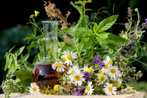 Wunschmotiv als Klebefolie - Heilkräuter oder mit Eigenem Foto