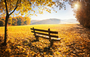 Wunschbild auf Labeldruck - Herbstlandschaft oder mit Eigenem Foto