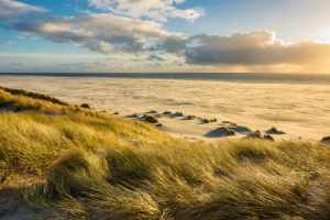 Wunschmotiv auf Labeldruck - Dünen Auf Amrum oder mit Eigenem Foto