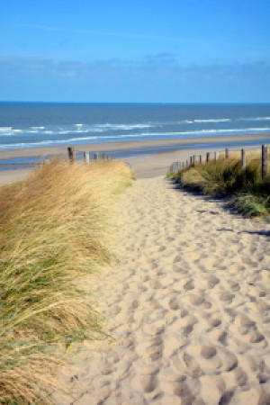 Bild auf Label - Weg Zum Strand oder mit Eigenem Foto