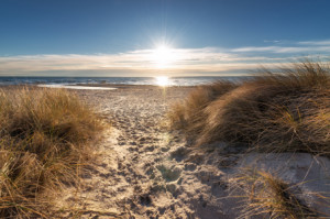 Motiv auf Labeldruck - Lichtblick Ostsee oder mit Eigenem Foto