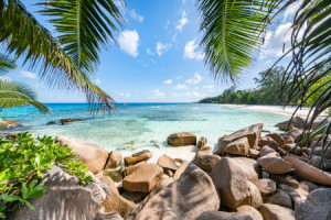 Bild auf Label - Urlaub Auf Den Seychellen oder mit Eigenem Foto