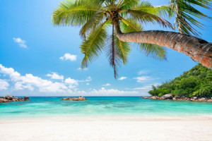 Motiv auf Label - Urlaub Am Strand oder mit Eigenem Foto