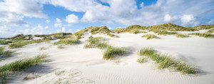 Motiv auf Label - Dünen Panorama oder mit Eigenem Foto
