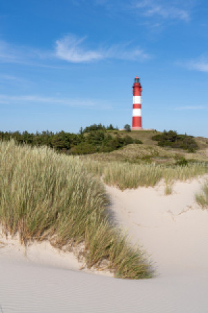 Wunschmotiv Labeldruck - Leuchtturm Auf Amrum oder mit Eigenem Foto