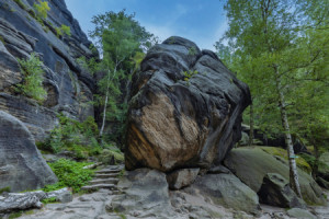 Fotos Labeldruck - Sächsische Schweiz - Pfaffenstein oder mit Eigen...