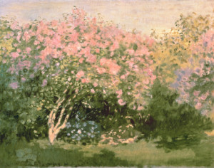 Fotos Label - Lilac In The Sun 1873 oder mit Eigenem Foto