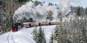 Wunschbild auf Labeldruck - Harzer Schmalspurbahn oder mit Eigenem ...