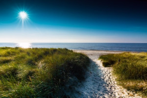 Wunschbild auf Label - Darß - Am Weststrand oder mit Eigenem Foto