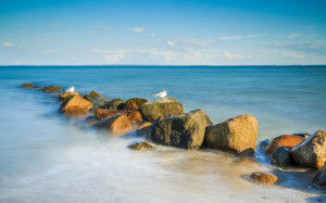 Wunschbild Labeldruck - Unsere Heimat Ist Das Meer - - - oder mit E...