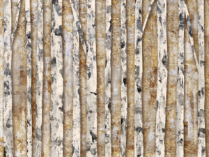 Bild Leinwanddruck - Neutral Birch oder mit Eigenem Foto