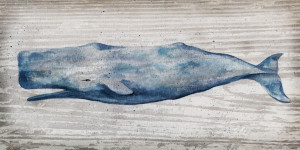 Bild auf Leinwanddruck - Blue Whale oder mit Eigenem Foto