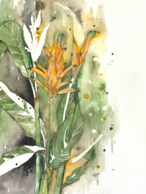 Wunschmotiv auf Leinwanddruck - Strelitzia 08 oder mit Eigenem Foto