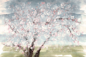 Wunschmotiv als Leinwand - Cherry Blossoms V2 Recolor oder mit Eige...