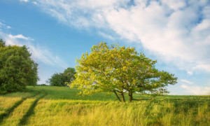 Fotoleinwanddruck - Sommerabend Auf Dem Land oder mit Eigenem Foto
