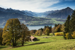 Bild Leinwanddruck - Beatenberg oder mit Eigenem Foto
