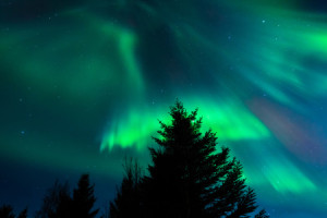 Wunschbild auf Leinwand - Polarlichter Auf Den Lofoten oder mit Eig...