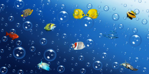 Bild Leinwand - Viel Geblubber Im Kleinen Aquarium oder mit Eigenem...