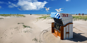 Foto Leinwand - Möwen Am Nordseestrand oder mit Eigenem Foto