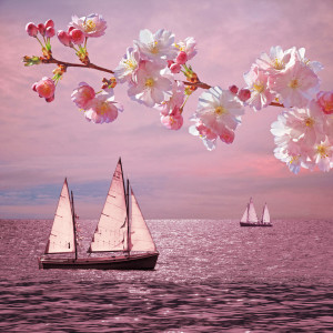 Foto auf Leinwanddruck - Pink Sunset Dream oder mit Eigenem Foto