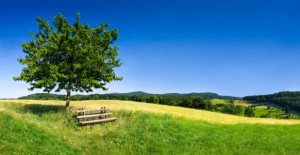 Bild Leinwanddruck - Grüne Landschaft Im Sommer oder mit Eigenem Foto
